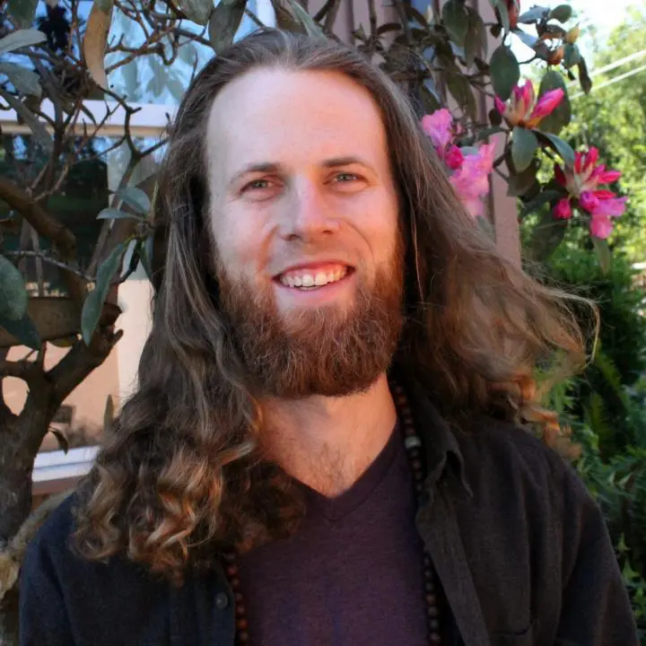 A Therapy Teacher is standing down in a tree and he is long hair and a thick Beard